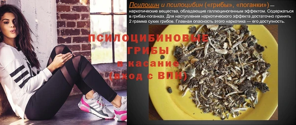 сатива Аркадак