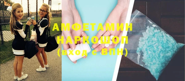 сатива Аркадак