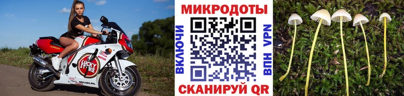 Псилоцибиновые грибы Cubensis ОМГ ОМГ ссылка Мыски где найти